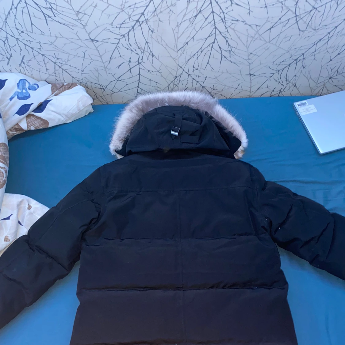 Canada goose Wyndham  - 90