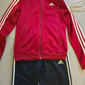 Vinröd träningsjacka och mörkblå träningsbyxor från Adidas - Säljer en snygg träningsset. Vinröd träningsjacka från Adidas med vita ränder längs ärmarna och dragkedja framtill, klassiska Adidas-loggan på bröstet. Mörkblå träningsbyxor, passar både dam och herr. 