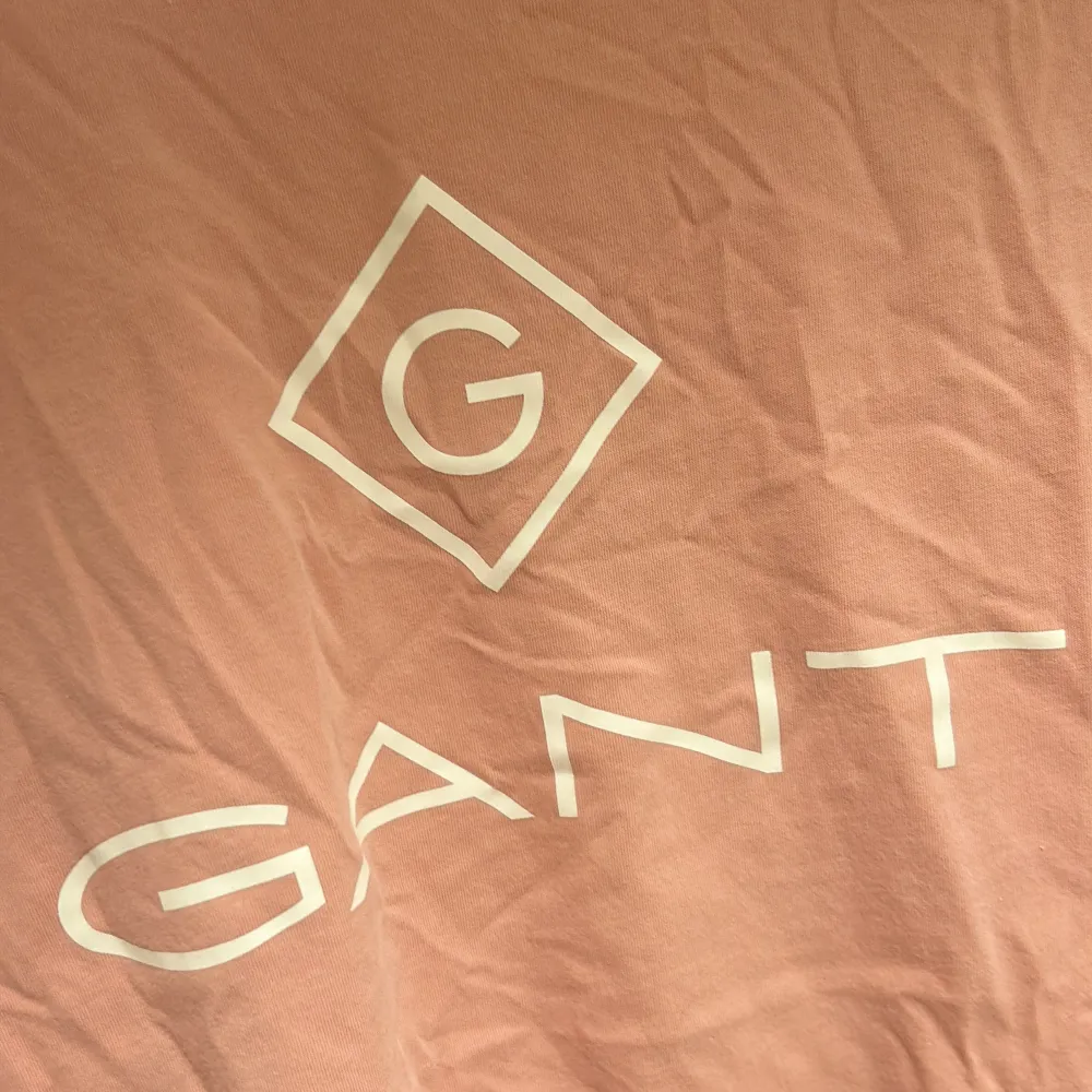 Säljer denna rosa t-shirten från gant, bra skick. . T-shirts.