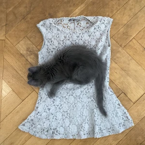 Vit spetsad blus ifrån Gina Tricot - Säljer en söt vit spetsad blus från Gina Tricot. Blusen är ärmlös och har ett vackert blommigt mönster. Perfekt för sommarens alla tillfällen. Man kan ha som under tröja också