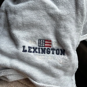 Grå shorts från Lexington - Snygga grå shorts från Lexington med en liten logga på sidan. De har en bekväm passform med snörning i midjan. Perfekta för en avslappnad stil.