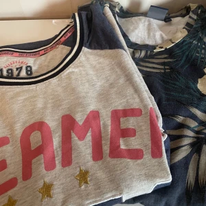 2 st T-shirt st.l - Säljer två  t-shirt grå med rosa texttryck 'DREAMER' och små guldstjärnor ny och den andra Crocker L .T-shirten har en rund halsringning med mörkblå kant och korta ärmar. Perfekt för en avslappnad stil.