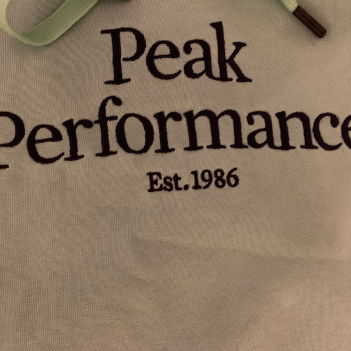 Mintgrön hoodie från Peak Performance - 90