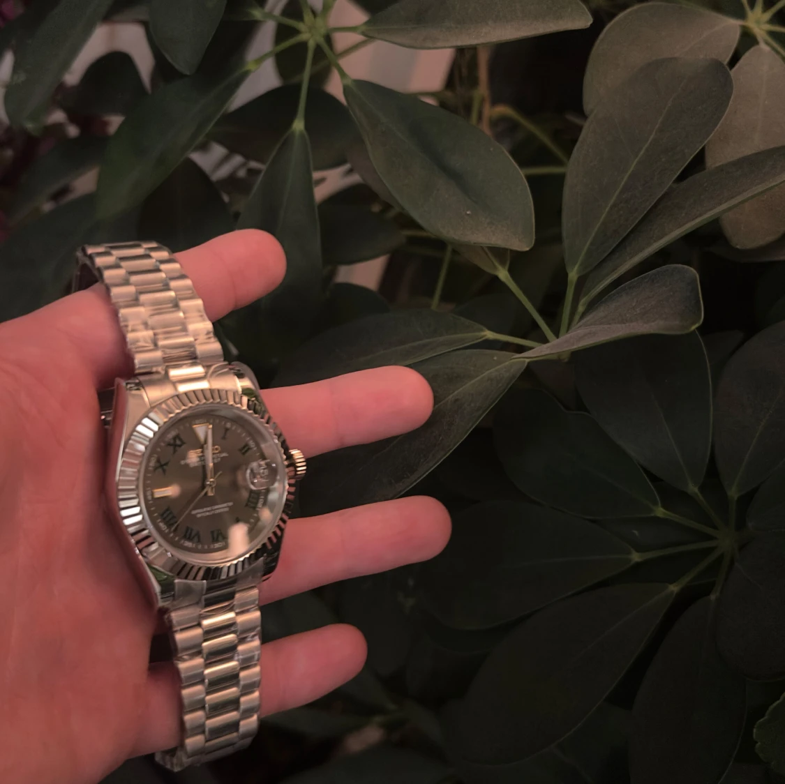 Seiko mod wimbledon - 3