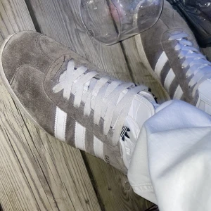 Gazelle - Gazelle, as grisch