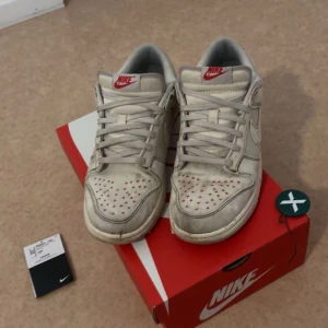 Nike dunk light orewood EU42 - Säljer ett par nike dunk light orewood i storlek 42. Dem är inte jättemycket använda utan det är bara material på skorna som gjort dem lätt smutsiga som syns på bilden. Skriv vid intressed