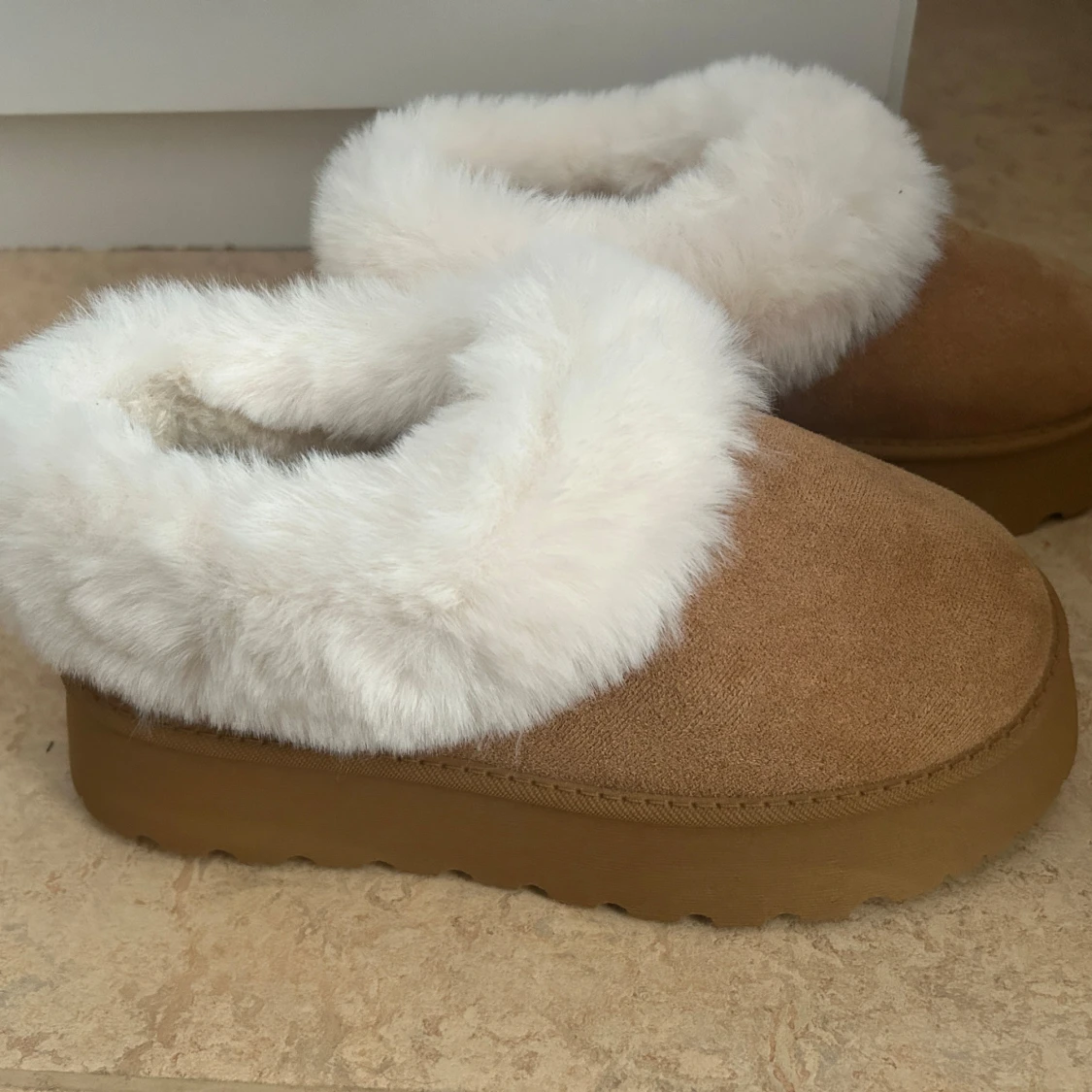 Bruna ugs med vit päls - 1