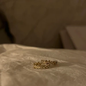 Guldörhänge med stjärndetaljer - Säljer ett elegant guldörhänge med små stjärndetaljer. Perfekt för att ge en glittrig touch till din outfit. Passar både till vardags och festliga tillfällen. Örhänget är i mycket bra skick och redo att bäras av någon som älskar stjärnor!