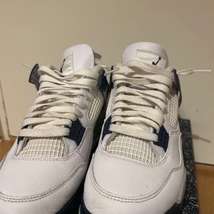 Vita och grå sneakers - Säljer ett par vita och grå jordens sneakers i mycket bra skick. Använd två tre gånger