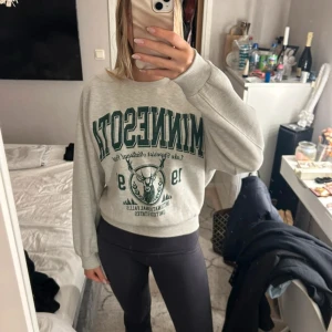 Grå sweatshirt  - Grå sweatshirt med grönt tryck! 