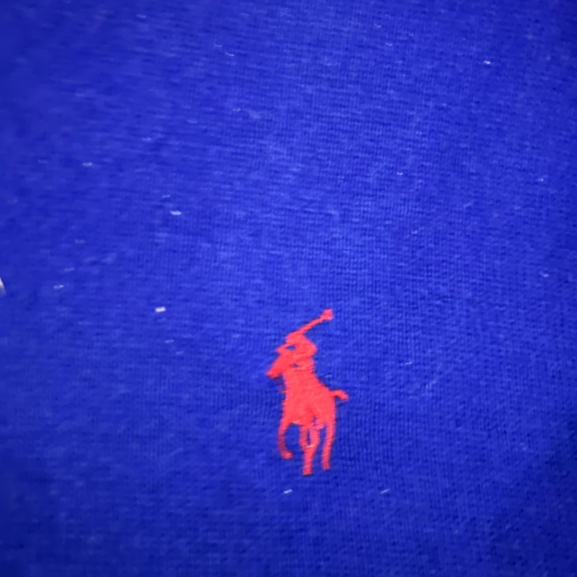 Blå tröja från Polo Ralph Lauren - 91