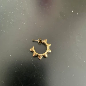 Ett Edblad örhänge  - har tappat bort det andra och om någon annan har gjort de kan ni köpa den här så har ni 2!! 🥰🥰