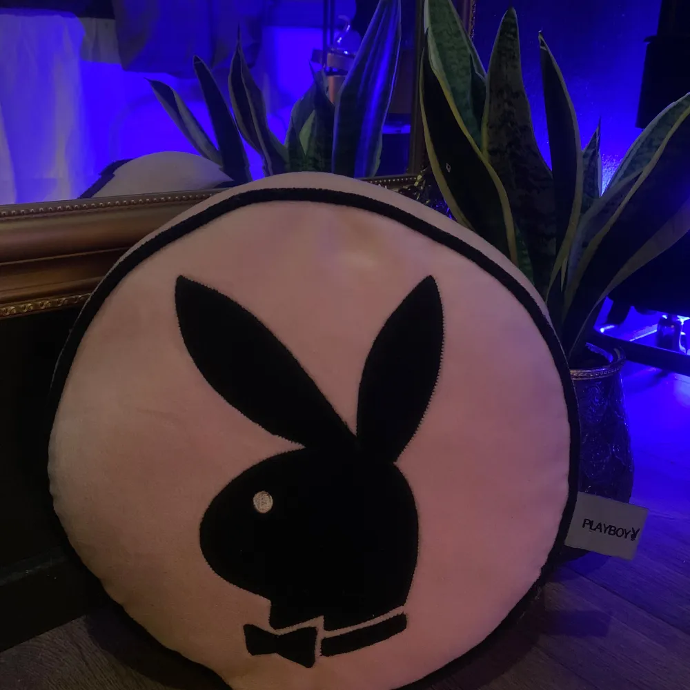 Köpt på Vinted för 500 I bra skick, inga fläckar eller skador Äkta playboy💖. Övrigt.