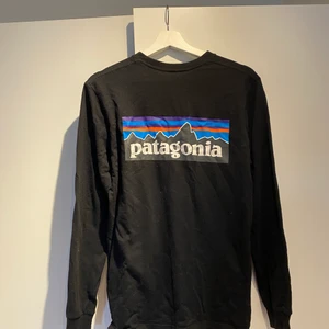 Patagonia tröja - Riktigt snygg patagonia tröja!! Även denna har inte kommit till någon användning på senaste tiden😅 kan se små sprickor i trycket på nära håll därav priset💗