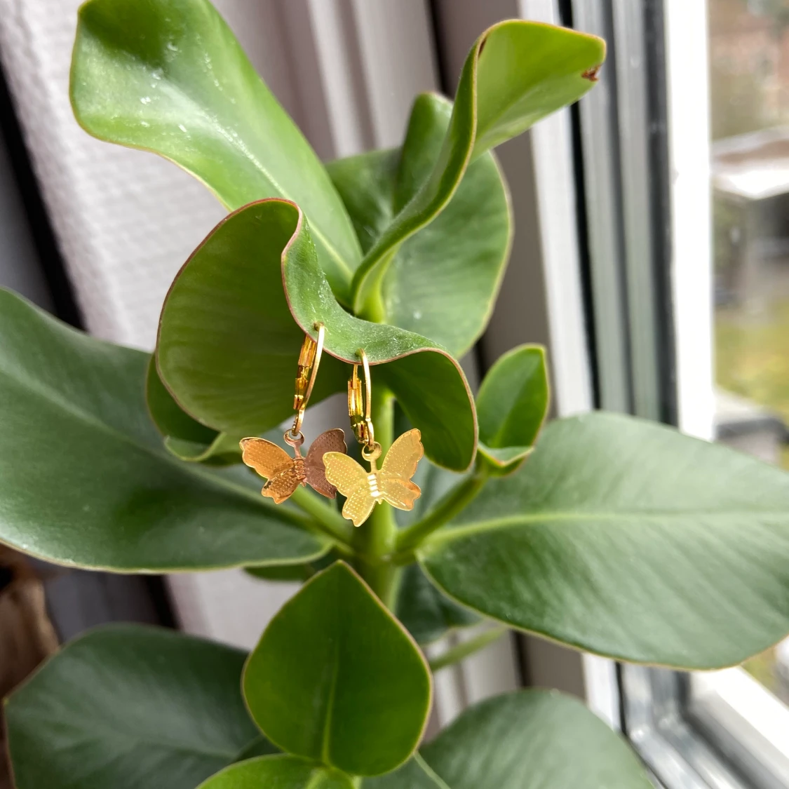 Guldiga fjärrils örhängen