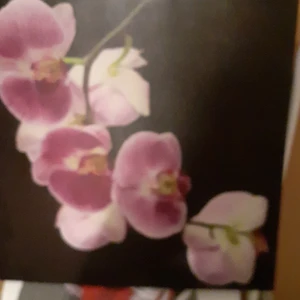 Tavala - Bra skick med blommor som motiv.