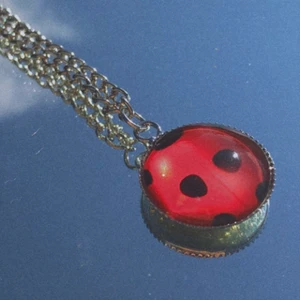 Nyckelpiga halsband - Nyckelpigs halsband i silver 🐞🐞🐞 10kr + 12kr frakt = 22kr totalt 