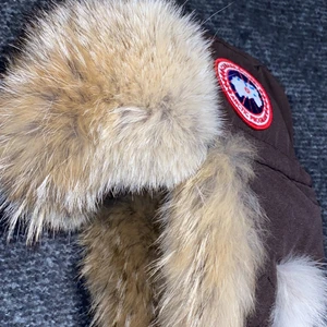 Canada Goose Aviator Hat - Säljer en äkta sällsynt Aviator hat från Canada goose. Köpt på Canada goose officiella hemsida för375$. Den är ENDAST provad! Mycket fin mössa som är riktigt varm, vattentät och vindtät! Mycket fin päls som man kan se på bilderna! Väldigt svåra att få tag