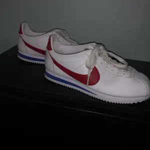 Sprillans nya Nike skor, storlek 38. Gick inte till mycket användning. För mer info kontakta mig!