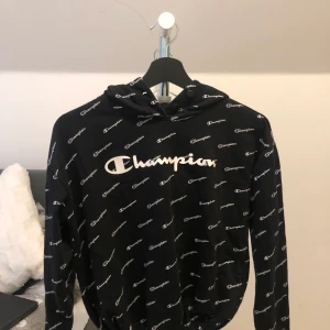 Champion Hoodie  - En skön hoodie som man kan dra åt där nere.