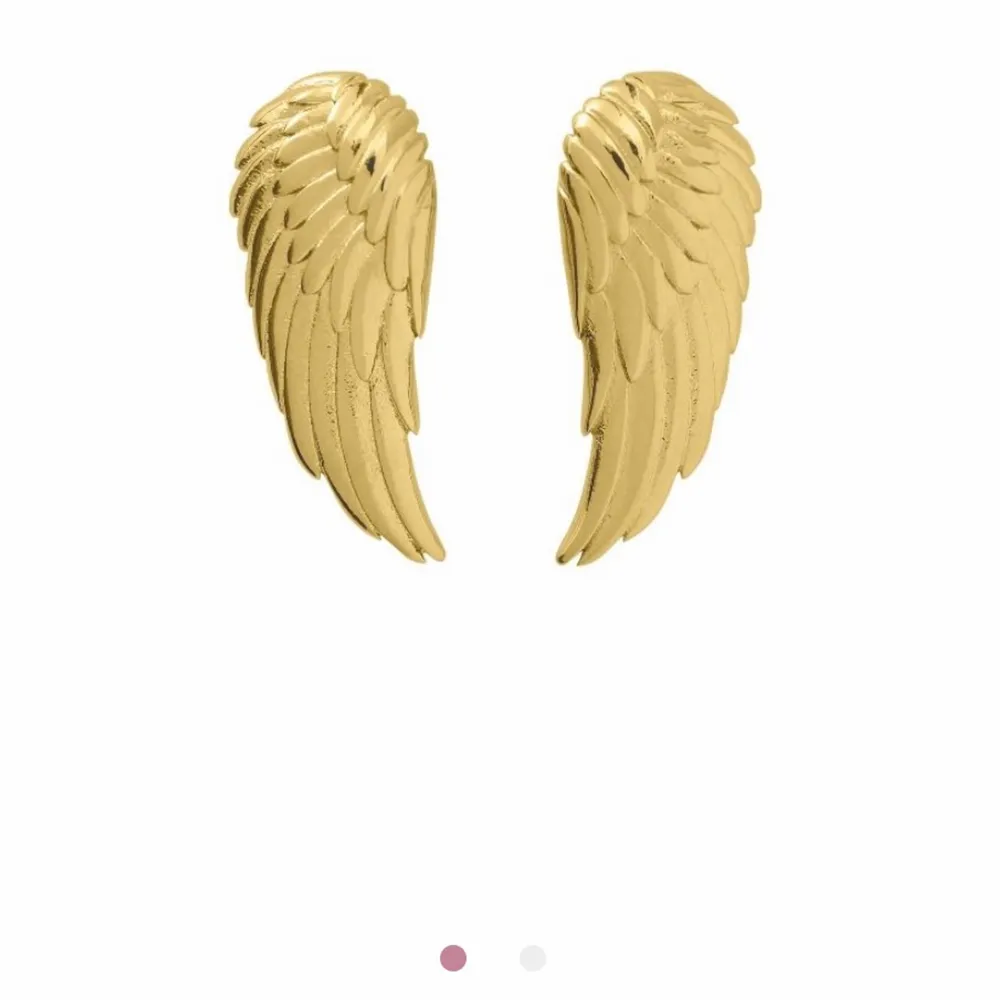 Så fina angel earrings från Edblads! Köpta för 349kr. Övrigt.