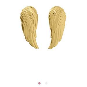 Så fina angel earrings från Edblads! Köpta för 349kr