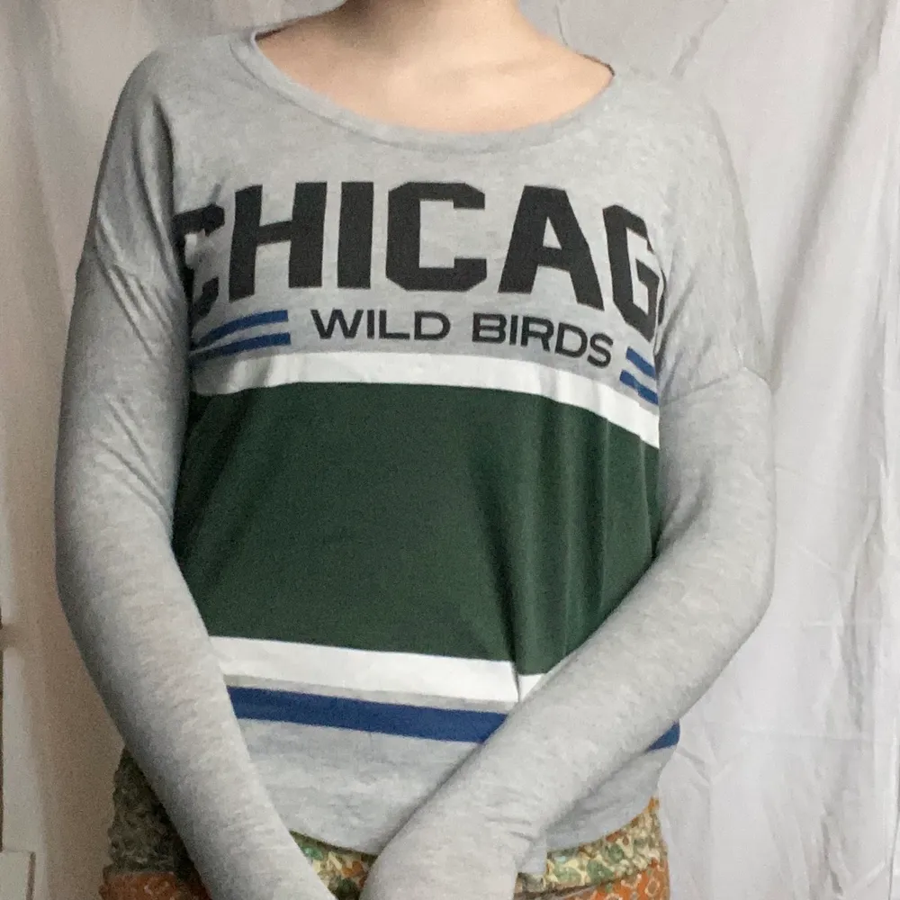 långärman chicago wild birds tröja från gina tricot. använd men i gott skick. ganska tunt material så man blir inte för varm. . Toppar.
