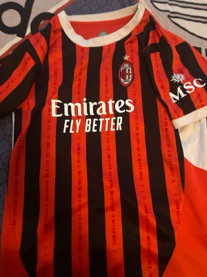 AC Milan matchtröja Rafa Leão 10 - Säljer en röd och svart AC Milan matchtröja med vertikala ränder, officiella klubbmärket och sponsortryck. På ryggen står det 'Rafa Leão 10' i vitt. Tröjan har korta ärmar och är tillverkad i ett lätt och ventilerande material, perfekt för fotbollsträning eller match.