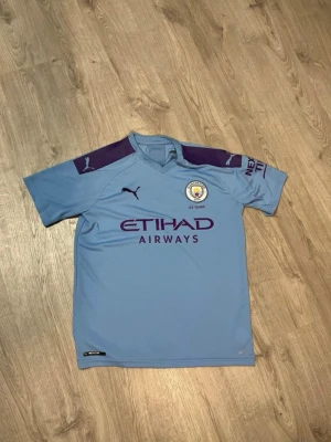 Manchester City matchtröja Puma blå - Snygg ljusblå Manchester City matchtröja från Puma med klubbmärke och sponsortryck på bröstet. Tröjan har lila detaljer på axlarna och korta ärmar. Perfekt för fotbollsträning eller att bära till vardags om du hejar på City.