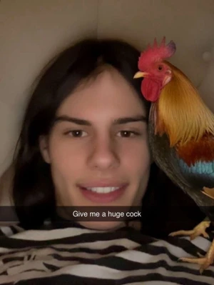 Färgglad tupp-dekoration - This is Anton Han e jätte snäll och älskar att springa i skogen 