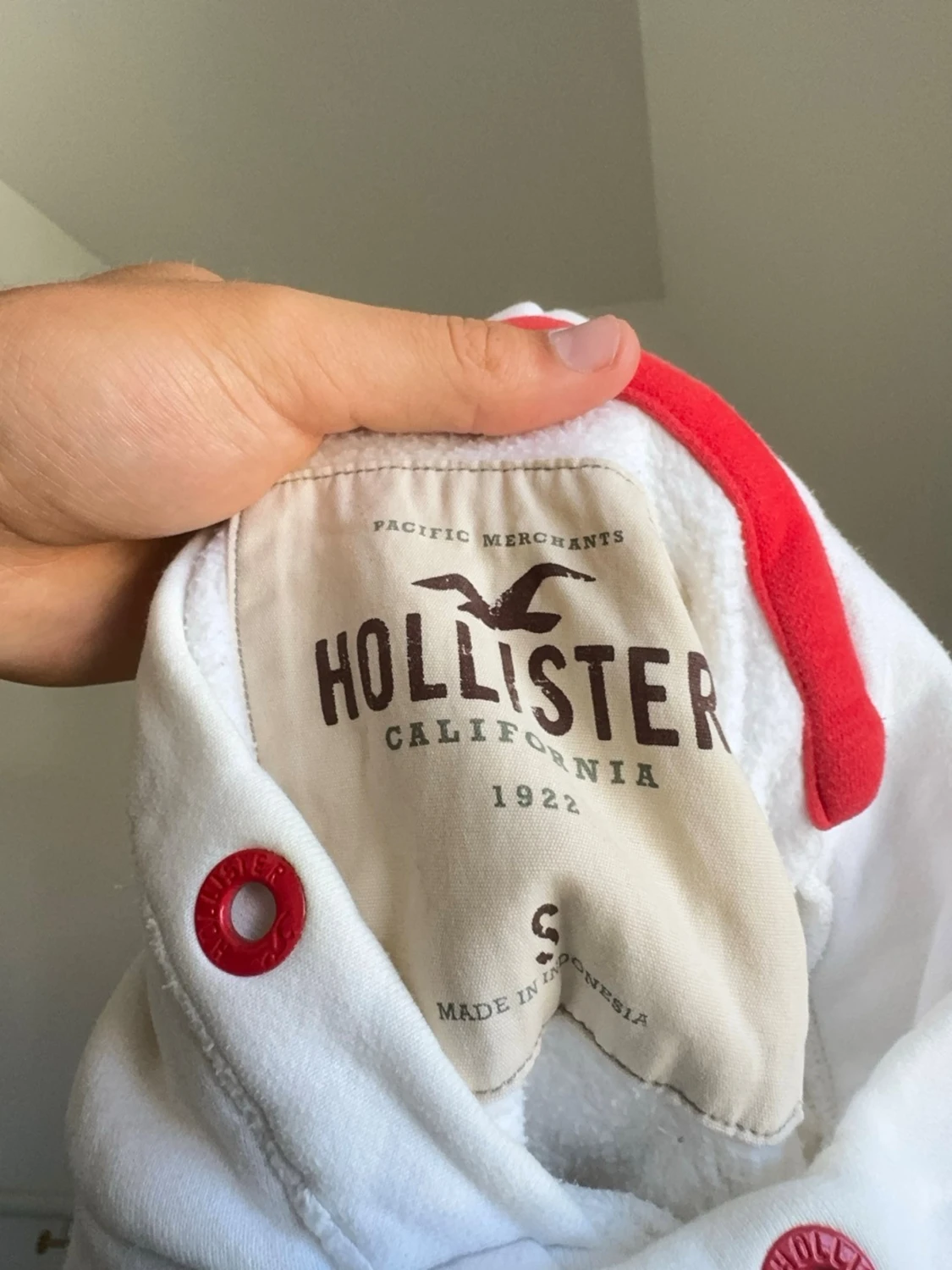 Hollister hoodie  - 6