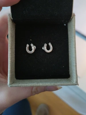 Silverfärgade hästskoörhängen - Snygga örhängen i form av hästskor i silverfärg. De har små gnistrande stenar upptill som ger extra bling. Perfekta för dig som gillar unika detaljer och vill sticka ut lite extra. Kommer i en stilren ask.