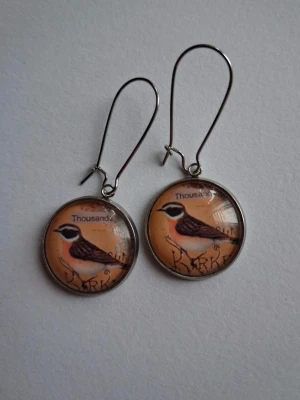 Runda örhängen med fågelmotiv - Unika örhängen med rund form och illustration av en fågel mot en beige bakgrund. Texten 'Thousand' syns på motivet. Metallinfattning och krok i silverfärg. Perfekta för dig som gillar naturinspirerade accessoarer och vill sticka ut med ett personligt smycke.