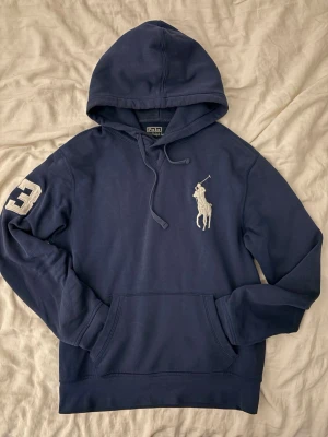 Big pony ralph lauren - Säljer en riktigt fet raffe hoodie i 8/10 skick passar stl xs men är s är 174 och den passar mig precis🙌🏻 pris är ej hugget i sten 🪨 