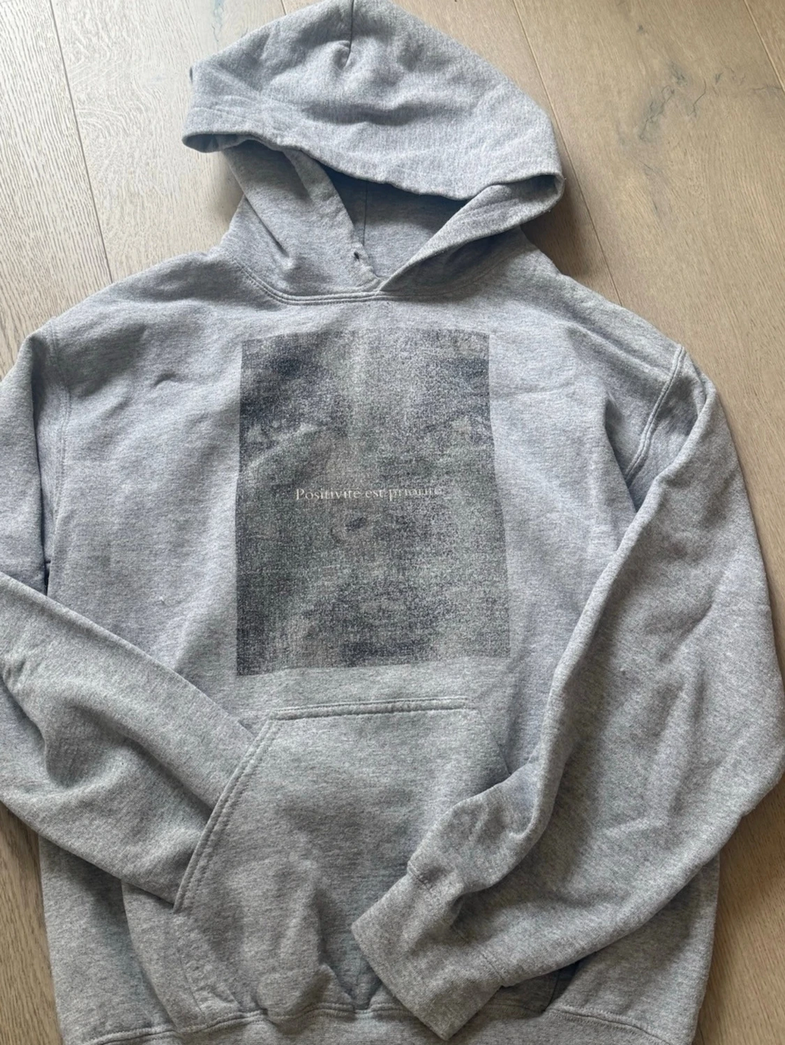 Grå hoodie med tryck - 1