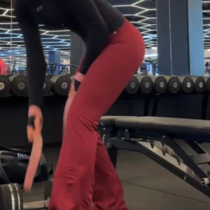 Söker vision flares Winterberry!  - Söker i storlek S/M regular! Hör gärna av er