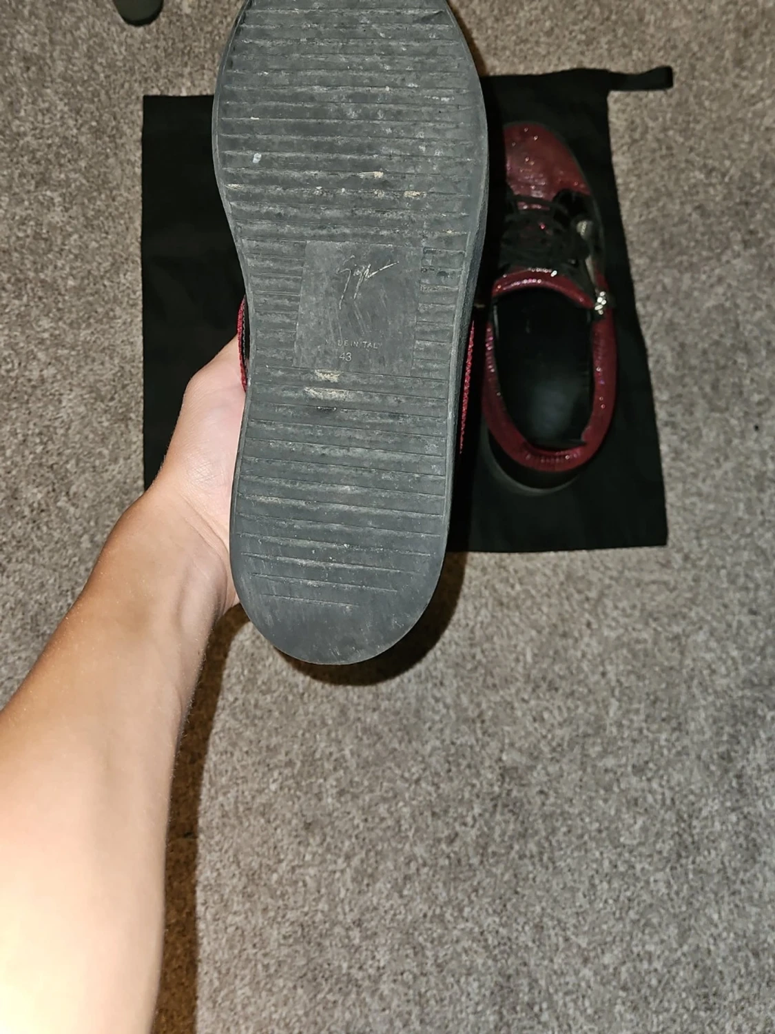 Guiseppe zanotti 2022 limited - 2