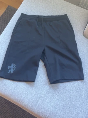 Svarta shorts från Craft med lejon - Säljer ett par svarta shorts från Craft med snörning i midjan och ett stilrent lejontryck på ena benet. Shortsen har elastisk midja och är perfekta för träning eller chill. Materialet känns lätt och sportigt. Hör av dig med prisförslag 