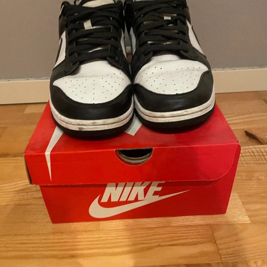Panda dunks storlek 46 - 90