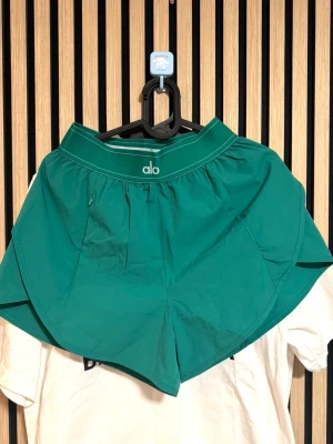 Gröna träningsshorts från Alo - Snygga gröna träningsshorts från Alo med sportig design och elastisk midja. Shortsen har en modern, lös passform och är perfekta för aktiva dagar. Tillverkade i ett lätt och funktionellt syntetmaterial som andas.