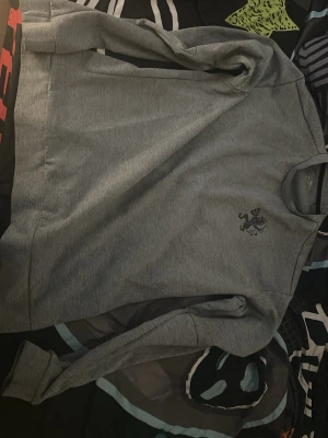 Grå  IFK Göteborg sweatshirt  - En stilren grå sweatshirt med rund hals och ett litet tryck av ett lejon på bröstet. Tröjan har långa ärmar och är gjord i mjukt sweatshirtmaterial, perfekt för en avslappnad look.