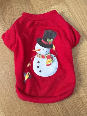 Röd jultröja med snögubbe - Röd tröja i mjukt tyg med tryck av en snögubbe i hatt och halsduk samt en liten fågel. Perfekt för julen och vintern. Tröjan har korta ärmar och rund halsringning. Passar till dig som vill ha något gulligt och festligt.