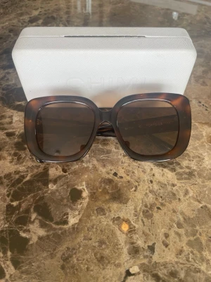 Chimi 10 - Chimi 10 Tortoise