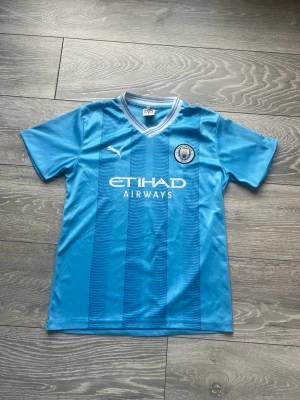 Manchester City Hemmatröja 23/24 – HAALAND #9 - Säljer en Manchester City-tröja från säsongen 2023/24 med Erling Haaland på ryggen (nummer 9). Klassisk himmelsblå design med detaljer som hyllar Etihad Stadiums 20-årsjubileum. • Spelare: Erling Haaland • Storlek: L (Large) • Skick: Mycket gott skick, trycket ser fint ut (se bilder). • Färg: Ljusblå Perfekt för samlaren eller till träningen! Skickas snabbt och spårbart. Tveka inte att skicka ett meddelande om du har frågor eller vill ha fler bilder. 