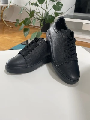 Svarta sneakers från ARDAN - Stilrena svarta sneakers från ARDAN i läderimitation med klassisk låg profil. Skorna har svarta snören, diskret design och en mönstrad gummisula för bra grepp. Perfekta för dig som gillar minimalistisk och clean stil. Fick i present,helt nya men storlek passade inte. Ny pris 1500 
