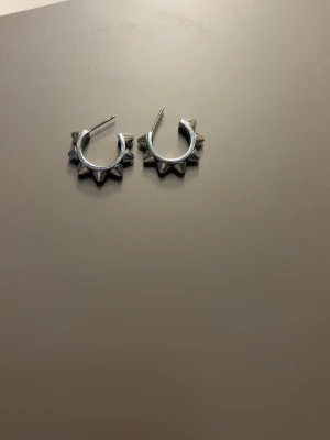 Edblad örhängen  - Säljer dessa fina Edblad örhängen i peak serien. Säljer pågrund av att dom inte kommer till användning längre. Nypris 400kr.