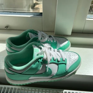 Nike dunk low  - Så snygga Nike dunk low i turkos!!   Använda typ 1 gång, så fint skick, storlek 37.5  Säljer då dem tyvärr inte kommer till användning.   Kan mötas upp i Stockholm eller posta!