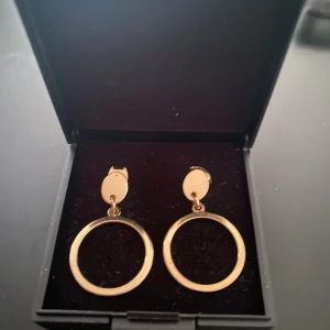 Hängande örhängen - Guldiga hängande örhängen 