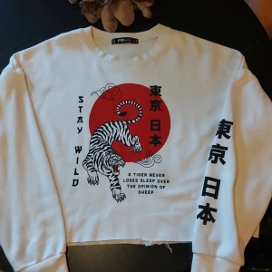 Croppad sweater - Asiatisk inspirerad croppad sweater Gjord så att den ska se "klippt" ut. Har små små fläckar som knappt syns (Se bild) TRYCK EJ KÖP NU