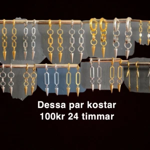 Örhängen  - 1 par för 100kr❤️ frakt 18kr 